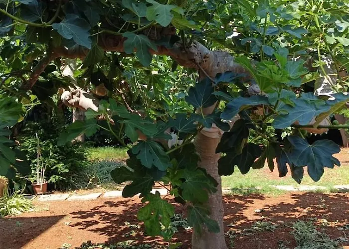 A Casa Da Maria Melissano